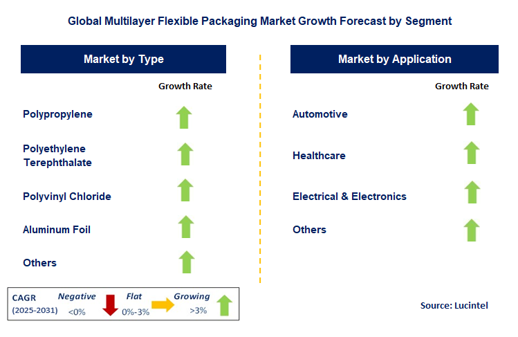 Multilayer Flexible Packaging Market by Segment