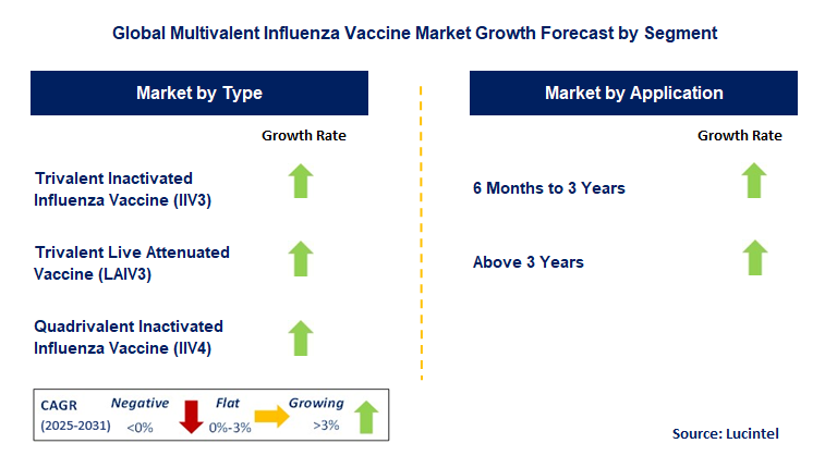 Multivalent Influenza Vaccine Market by Segment