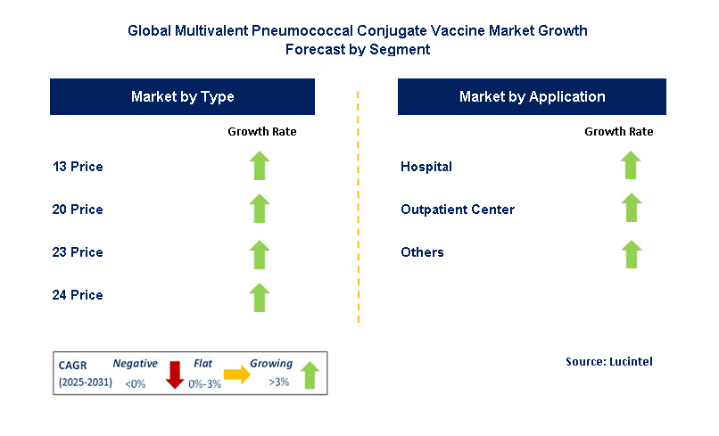 Multivalent Pneumococcal Conjugate Vaccine Market by Segment