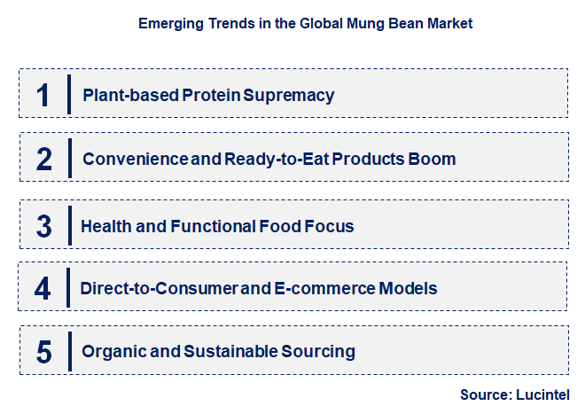 Emerging Trends in the Mung Bean Market