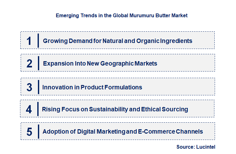 Emerging Trends in the Murumuru Butter Market Emerging Trends in the Murumuru Butter Market
