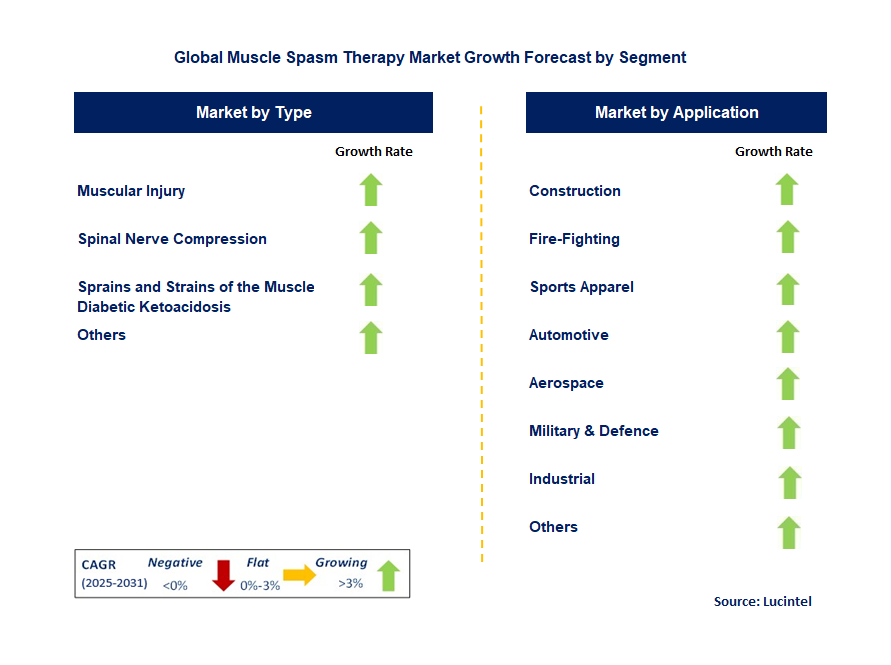 Muscle Spasm Therapy Market by Segment