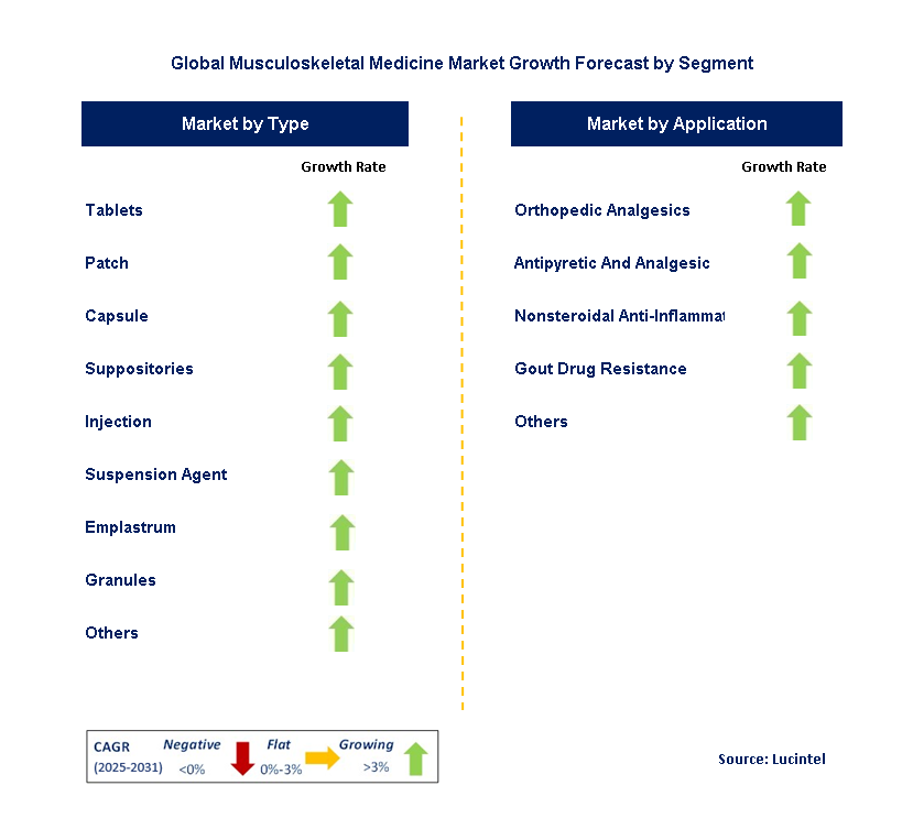 Musculoskeletal Medicine Market by Segment