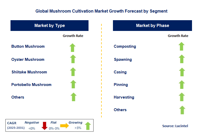 Mushroom Cultivation Market by Segment