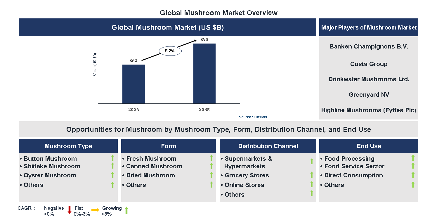 Mushroom Market Trends and Forecast Mushroom Market Trends and Forecast