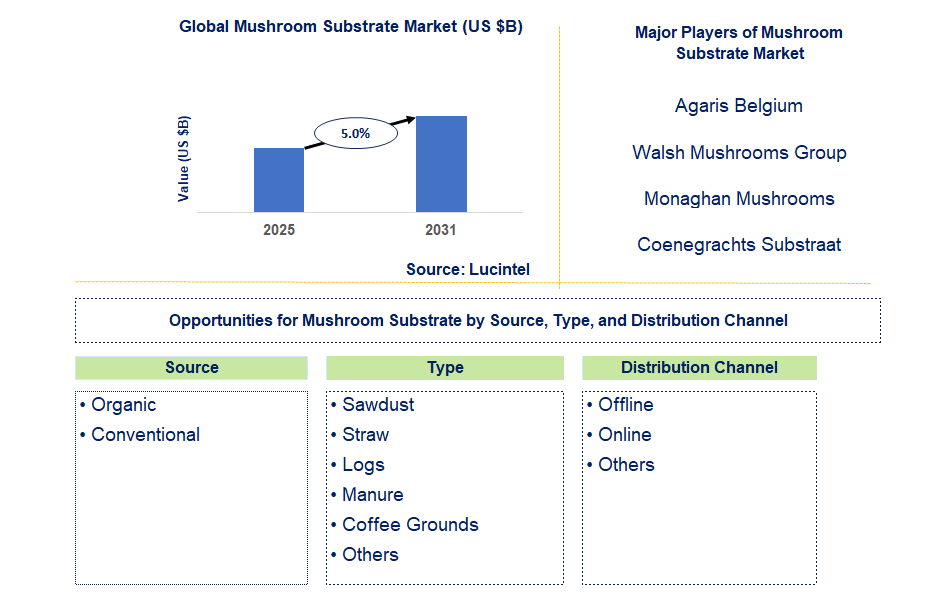 Mushroom Substrate Market Trends and Forecast