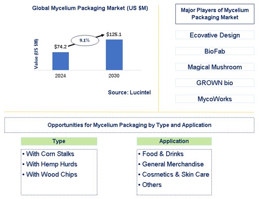 Mycelium Packaging Market Trends and Forecast