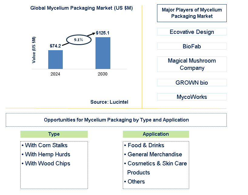 Mycelium Packaging Trends and Forecast