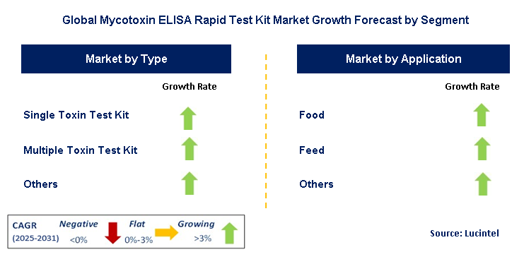Mycotoxin ELISA Rapid Test Kit Market by Segment