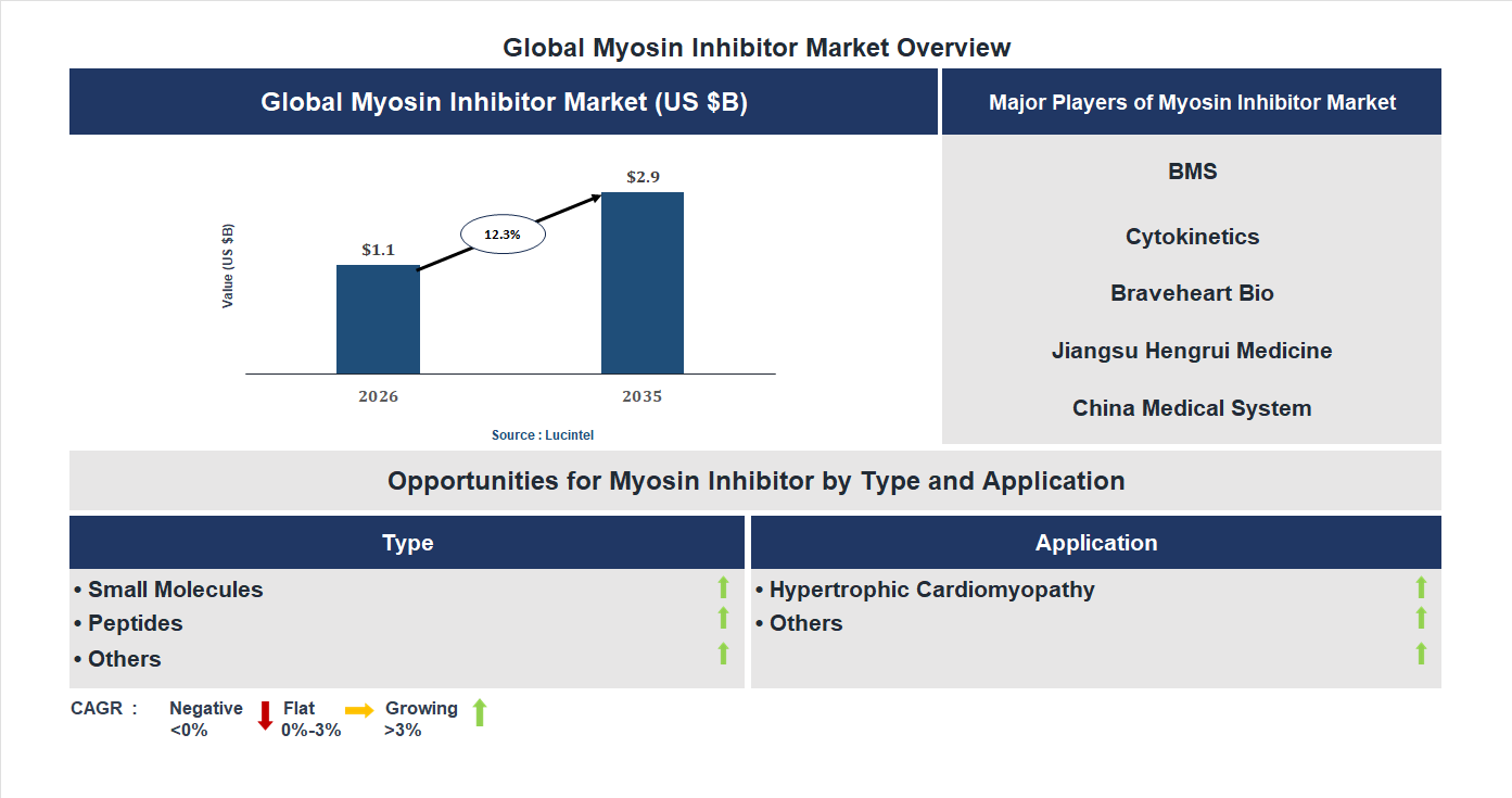 Myosin Inhibitor Market Trends and Forecast