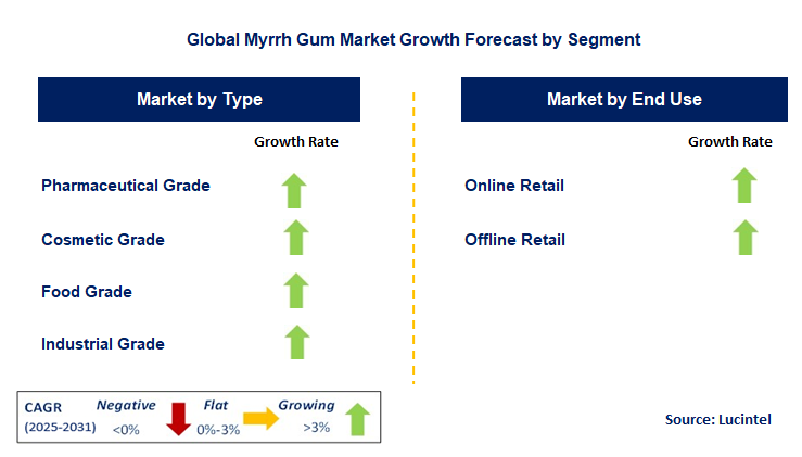 Myrrh Gum Market by Segment