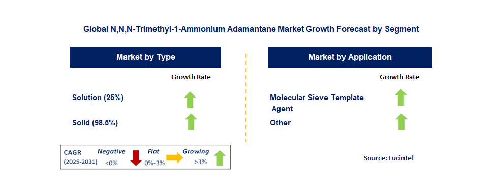 N,N,N-Trimethyl-1-Ammonium Adamantane Market by Segment