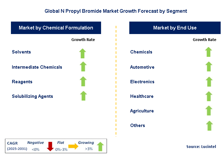 N Propyl Bromide Market by Segment