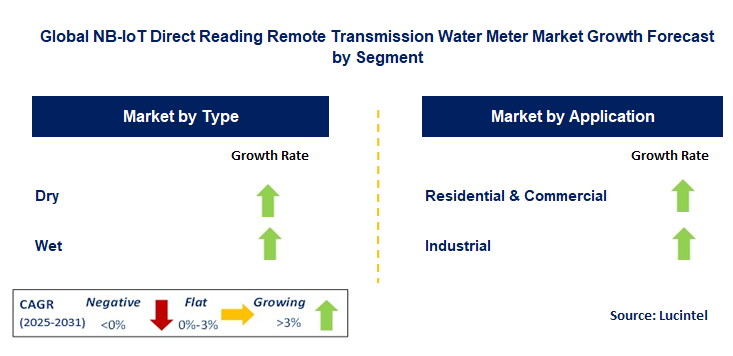 NB-IoT Direct Reading Remote Transmission Water Meter Market by Segment