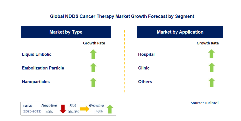 NDDS Cancer Therapy Market by Segment
