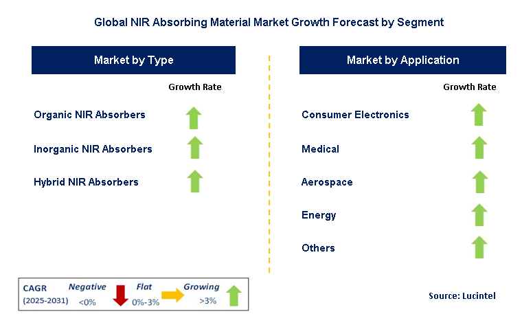 NIR Absorbing Material Market by Segment