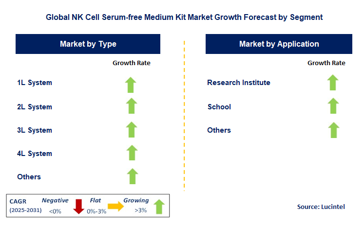 NK Cell Serum-free Medium Kit Market by Segment