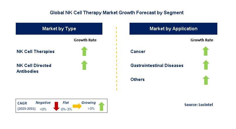 Nk Cell Therapy Market by Segment