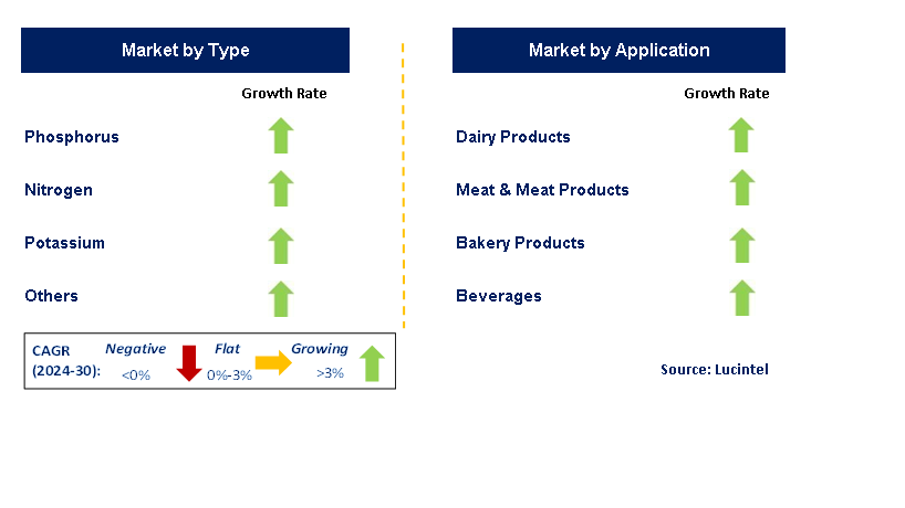 NPK Fertilizer by Segment