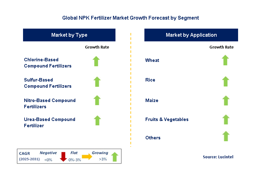 NPK Fertilizer Market by Segment
