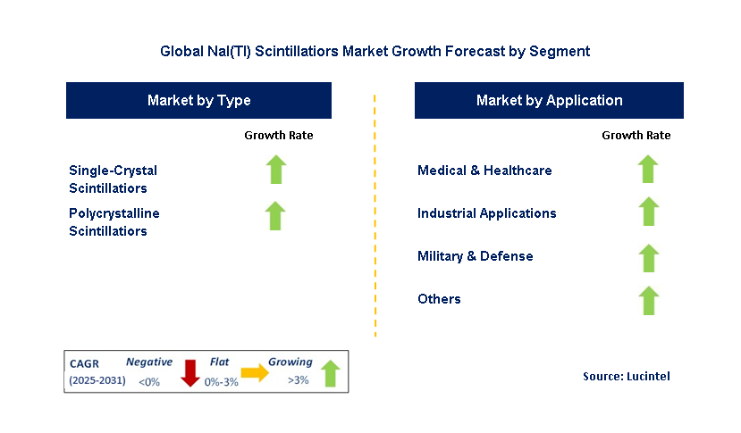 NaI(TI) Scintillatiors Market Market by Segment