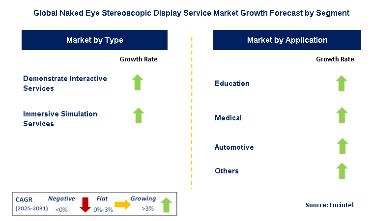 Naked Eye Stereoscopic Display Service Market by Segment