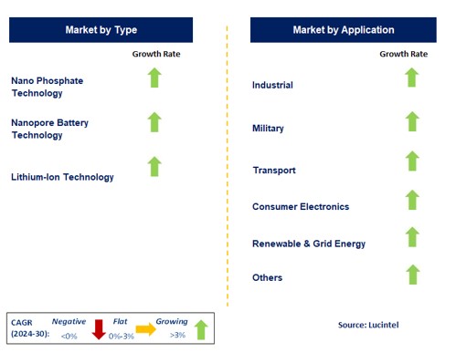 Nano Battery Market by Segment