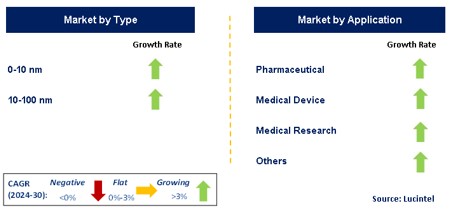 Nano Biotechnology Market by Segment