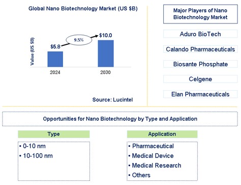 Nano Biotechnology Market Trends and Forecast