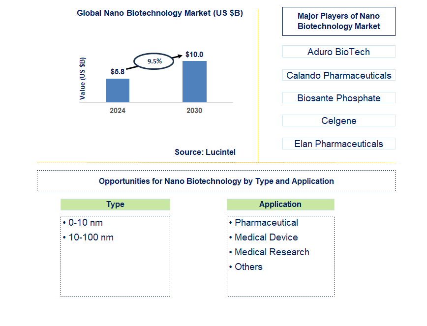 Nano Biotechnology Trends and Forecast