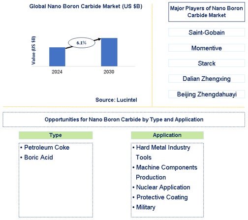 Nano Boron Carbide Market Trends and Forecast