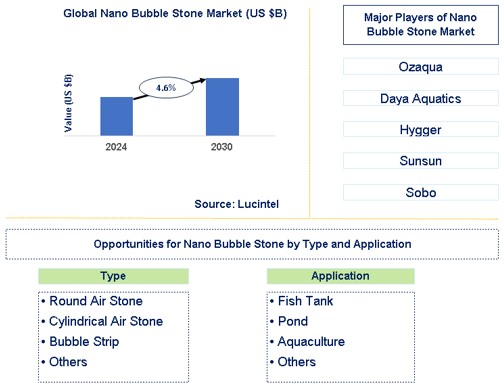 Nano Bubble Stone Market Trends and Forecast