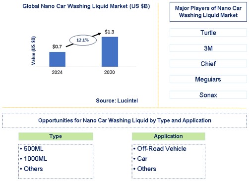 Nano Car Washing Liquid Market Trends and Forecast