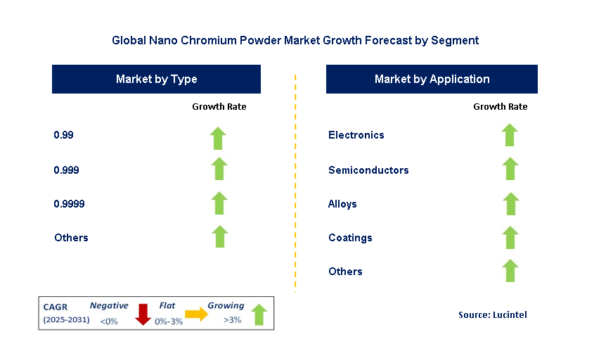 Nano Chromium Powder Market by Segment