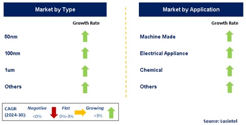 Nano Cobalt Powder Market by Segment