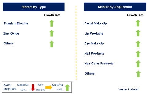 Nano Cosmetic Pigment Market by Segment