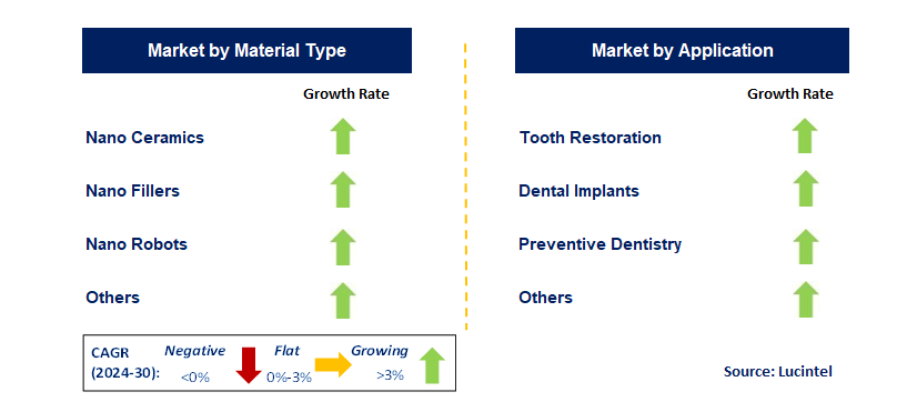 Nano Dentistry by Segment