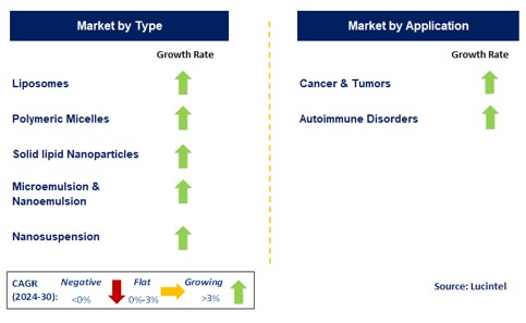 Nano-Drug Market by Segment