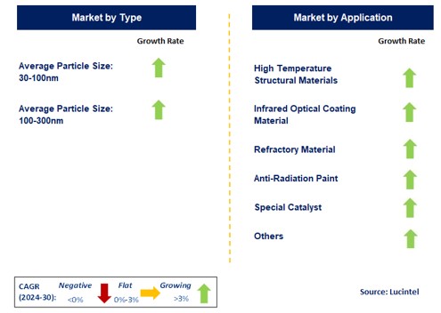 Nano Hafnium Dioxide Market by Segment