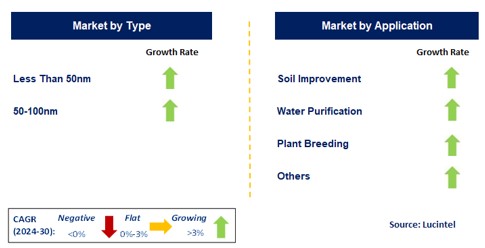 Nano Herbicide Market by Segment
