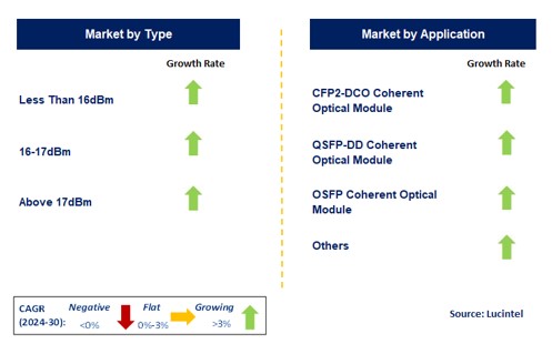 Nano-Itla Market by Segment