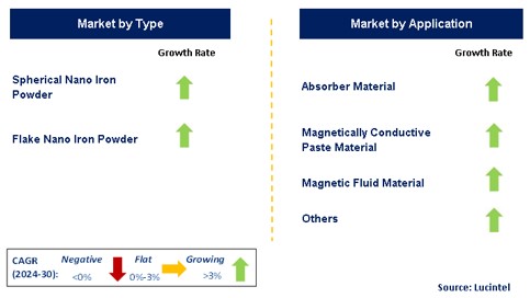 Nano Iron Powder Market by Segment