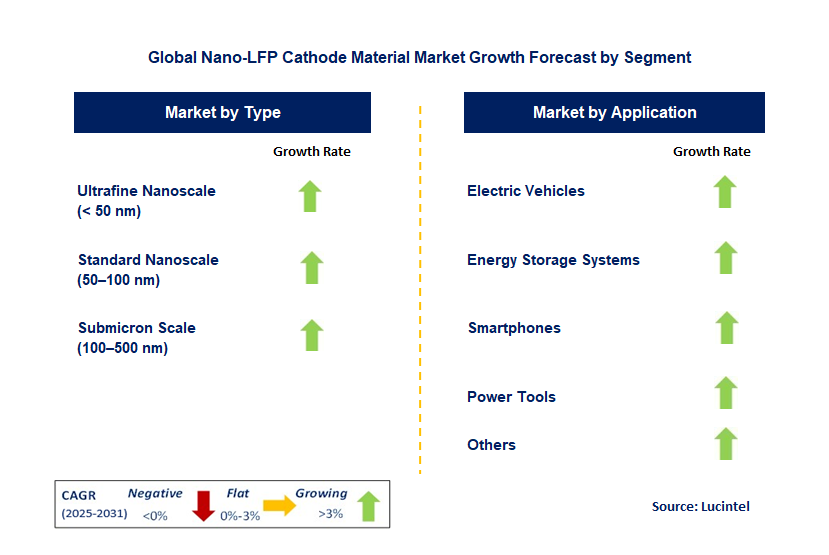 Nano-LFP Cathode Material Market by Segment