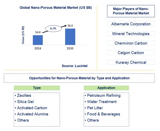 Nano-Porous Material Market Trends and Forecast