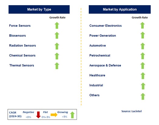 Nano Sensor Market by Segment