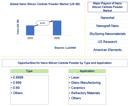 Nano Silicon Carbide Powder Market Trends and Forecast