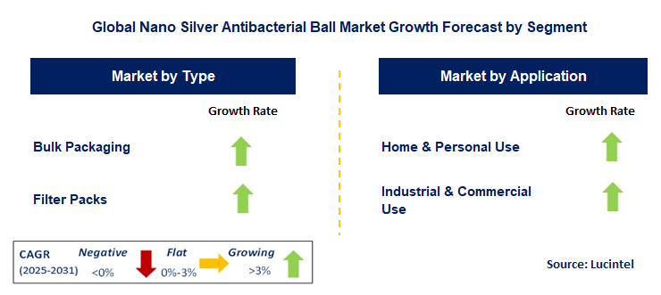 Nano Silver Antibacterial Ball Market by Segment