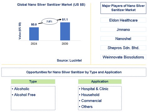 Nano Silver Sanitizer Market Trends and Forecast
