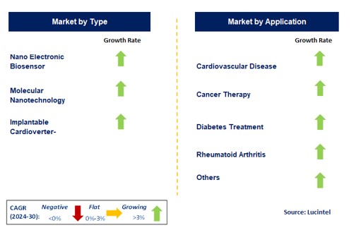 Nano Therapy Market by Segment