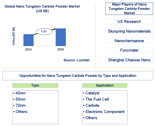 Nano Tungsten Carbide Powder Market Trends and Forecast